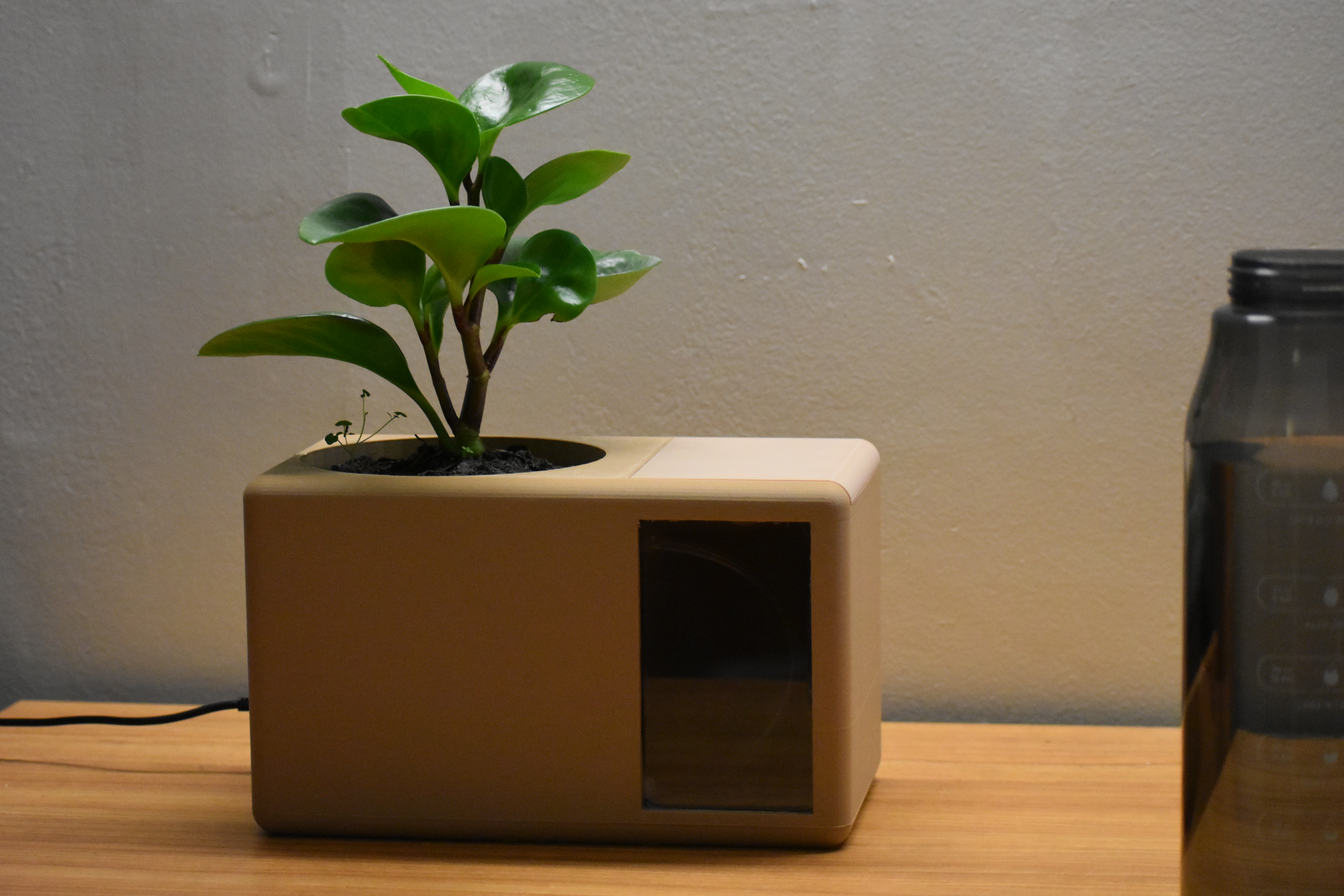 Automatic Plant Watering System